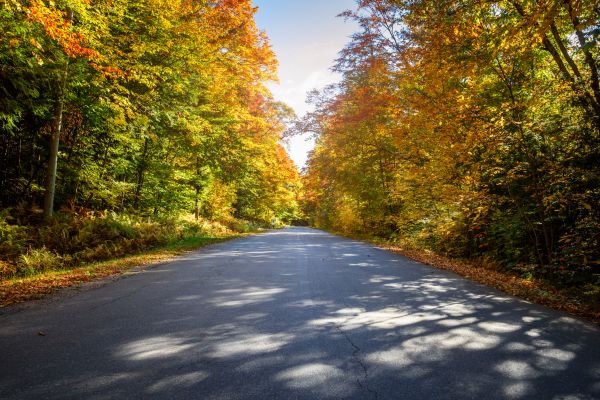 Cost of Blacktop Replacement in Fairfield